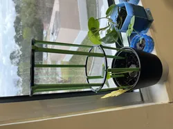 Stackable Plant Support