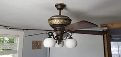 Ceiling Fan Light Shade
