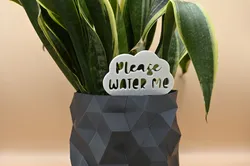 Please Water Me Sign for Indoor and Outdoor Plants