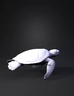 sea turtle with brown shell and green flippers underwater