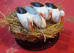 Čáp sedící na hnízdě / Stork sitting on the Nest