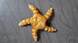 Cute articulated starfish
