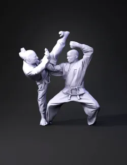 two martial artists performing a high kick on a beach at sunset both