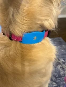 A Betterer Dog Collar Airtag Holder