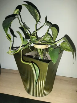 Cache pot fleurs