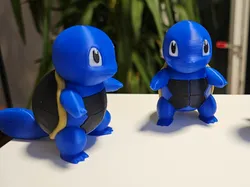 Fancy Squirtle