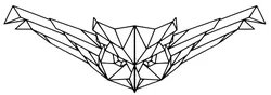 Geometric flying Owl