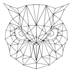 Geometric Owl