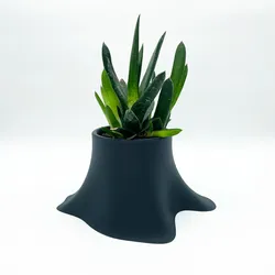 Melting Plant Pot