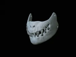 Predator mouth mask