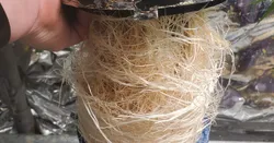Aeroponics Pot 210H - 185D
