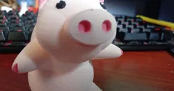 Little Pig