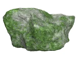 Mossy Rock 05