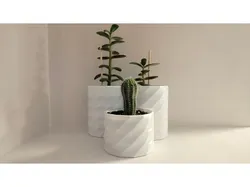 Pot for home plants