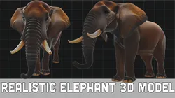 Realistic Elephant African Elephant