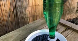 Water dispenser and bath for birds