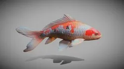 Koi Fish