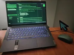 mouse cursor