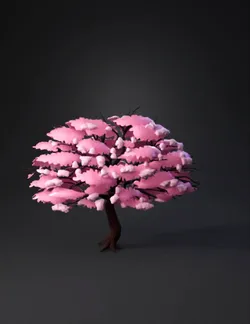 pink cherry blossom tree with a textured brown trunk and sprawling blo