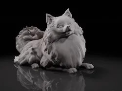 Spitz