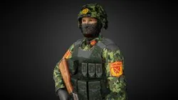 Viet Nam Army