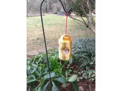 Weird Bird Feeder