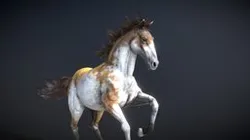 Horse — Spanish Mustang ( Paint )