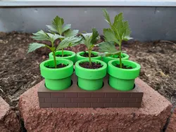 Mario Seed Starter Tray - Self Watering