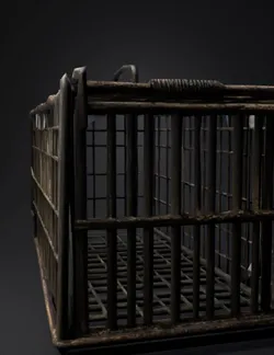 rusty wire cage trap built from metal rods with a top handle and grid