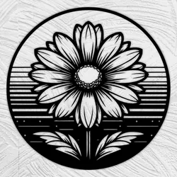 Daisy flower
