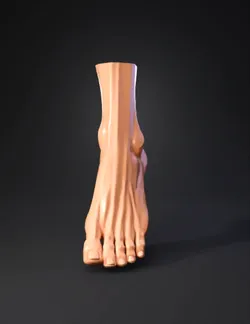 human foot illustration with toes and ankle in soft shading skin tone