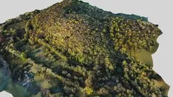 Large Tract Alexandria TN | Lower Helton Rd