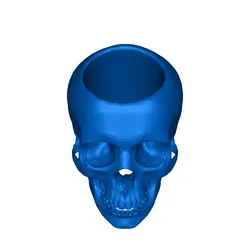 skull holder