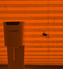 The HeartAttack Spider