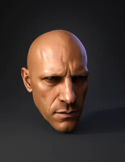 bald human head front facing portrait with natural skin tones and sub