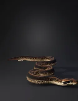 Create a 3D model of an anaconda with scales on its body it should b