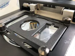Microscope slide and petri dish holder