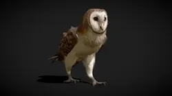 Barn owl - Animated low poly model