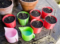 Simple, Fast and minimalistic Plant Pot for your young plants! (Vasemode ready)