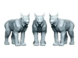 Canadian Lynx