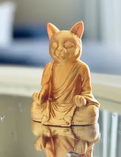 Cat/Kitten Monk