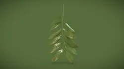 Leaf_Tree