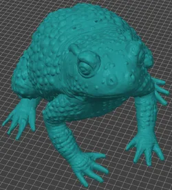 Halloween Toad (foam filled latex)