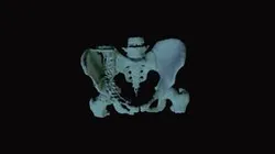 Harry_Segmentationmodelssegmentation