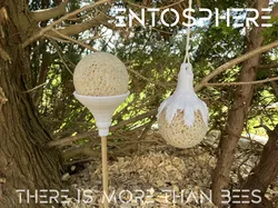 entosphere