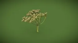 green plant