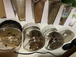 Mason Jar magnetic lid