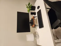 Topology Optimised Monitor Stand