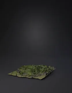 Create a highly detailed natural 3D strategy game map from a top down
