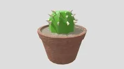 Cactus Plant